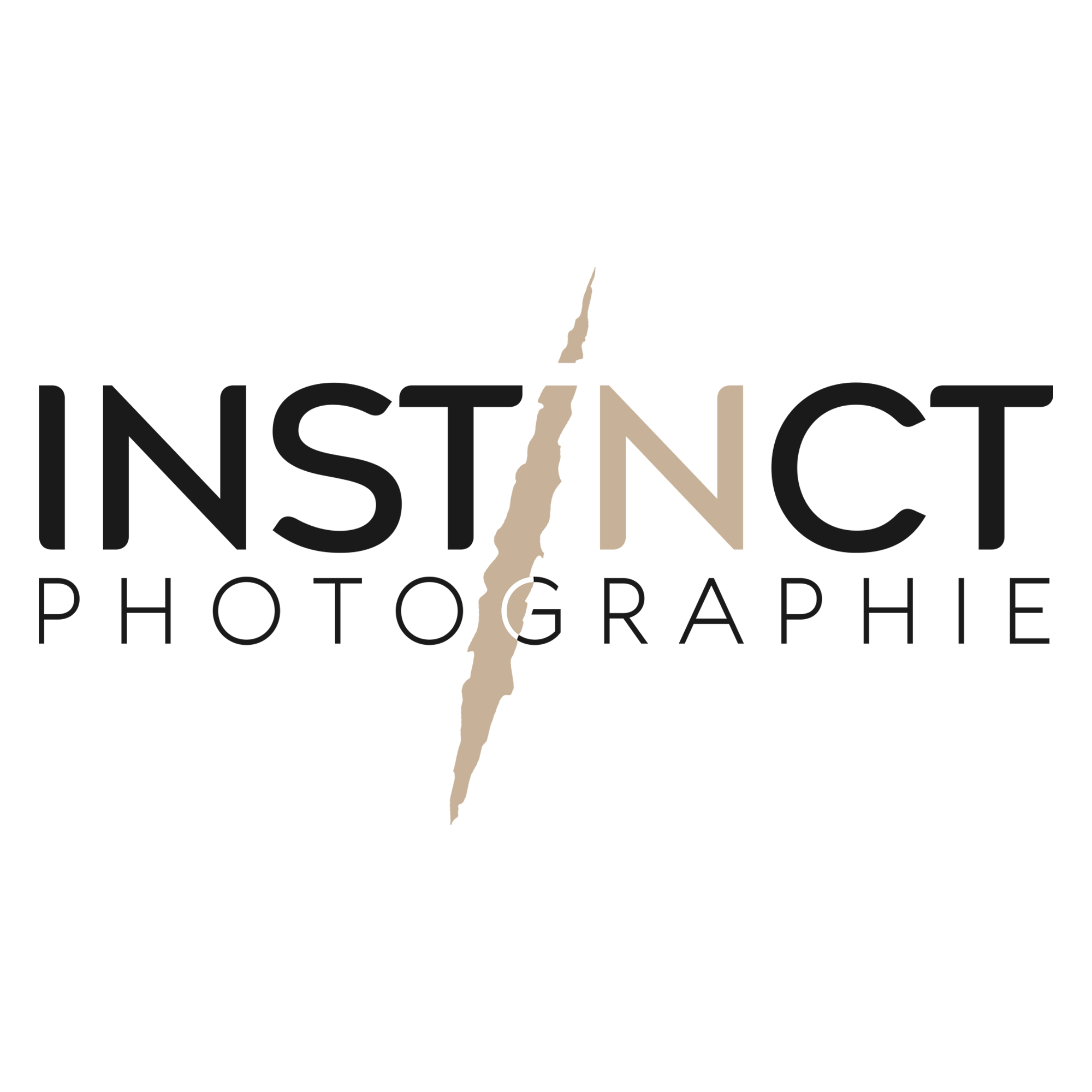 Instinct Photographie